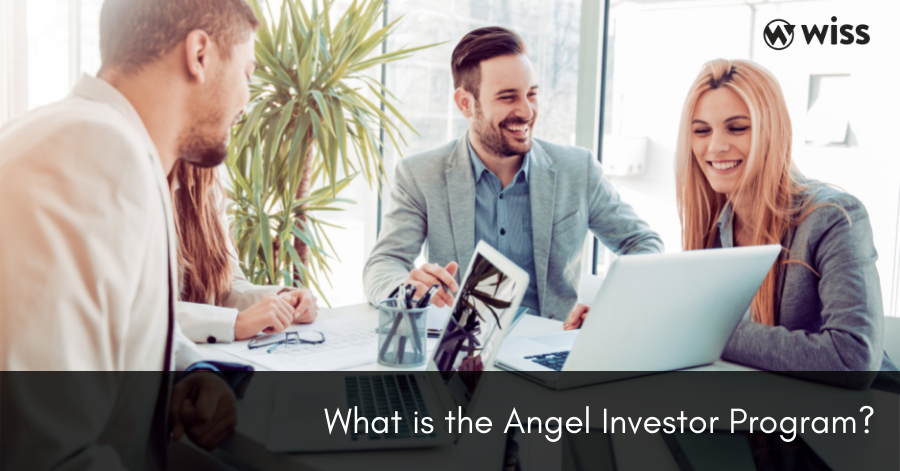 What is the Angel Investor Credit Program?